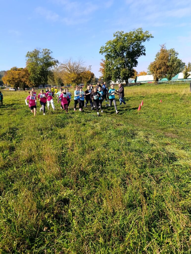 Sukcesy naszych uczniów podczas Małopolskich Jesiennych Biegów Przełajowych LZS i Szkół Rolniczych!